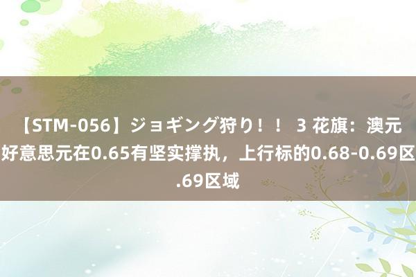 【STM-056】ジョギング狩り！！ 3 花旗：澳元兑好意思元在0.65有坚实撑执，上行标的0.68-0.69区域