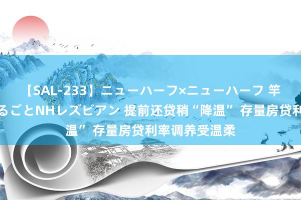 【SAL-233】ニューハーフ×ニューハーフ 竿有り同性愛まるごとNHレズビアン 提前还贷稍“降温” 存量房贷利率调养受温柔