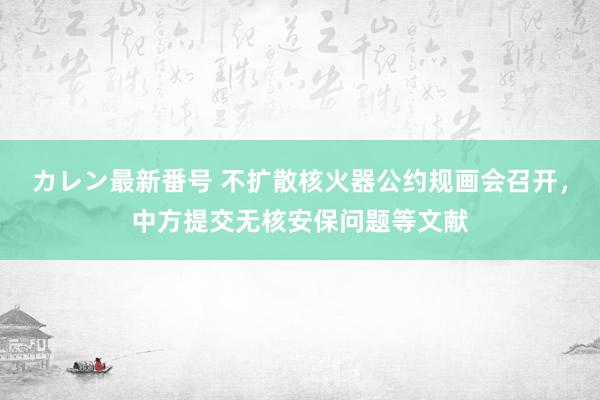 カレン最新番号 不扩散核火器公约规画会召开，中方提交无核安保问题等文献