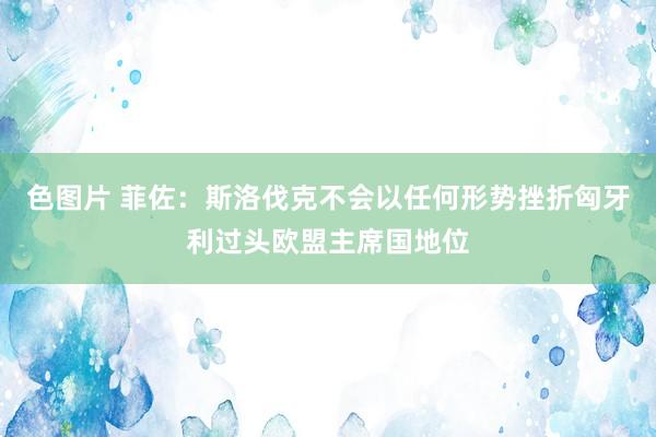 色图片 菲佐：斯洛伐克不会以任何形势挫折匈牙利过头欧盟主席国地位