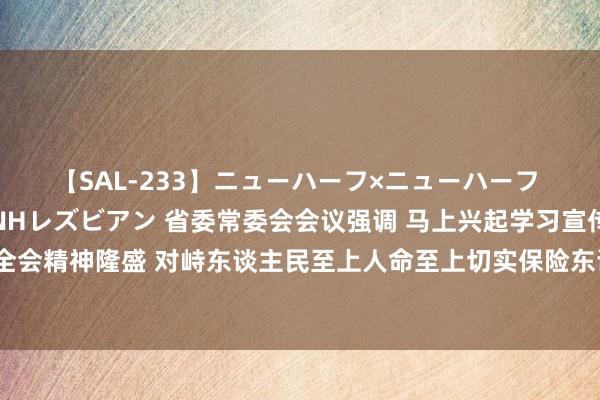 【SAL-233】ニューハーフ×ニューハーフ 竿有り同性愛まるごとNHレズビアン 省委常委会会议强调 马上兴起学习宣传贯彻党的二十届三中全会精神隆盛 对峙东谈主民至上人命至上切实保险东谈主民公共人命财产安全 梁言顺主办并语言_大皖新闻 | 安徽网