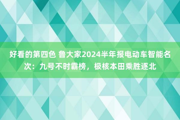 好看的第四色 鲁大家2024半年报电动车智能名次：九号不时霸榜，极核本田乘胜逐北