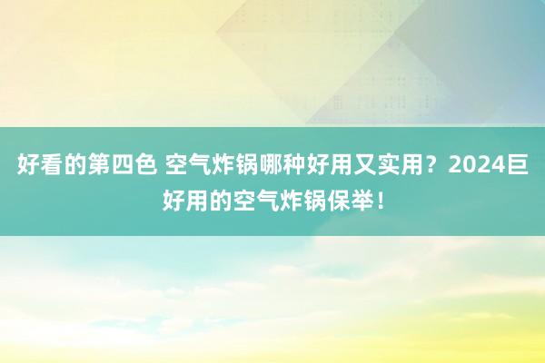 好看的第四色 空气炸锅哪种好用又实用？2024巨好用的空气炸锅保举！