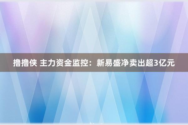 撸撸侠 主力资金监控：新易盛净卖出超3亿元