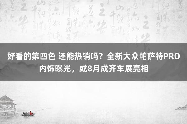 好看的第四色 还能热销吗？全新大众帕萨特PRO内饰曝光，或8月成齐车展亮相