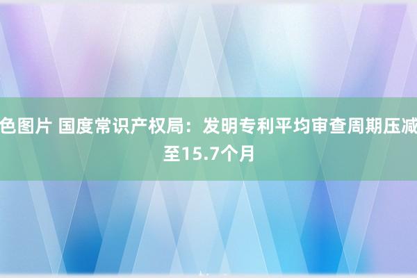 色图片 国度常识产权局：发明专利平均审查周期压减至15.7个月