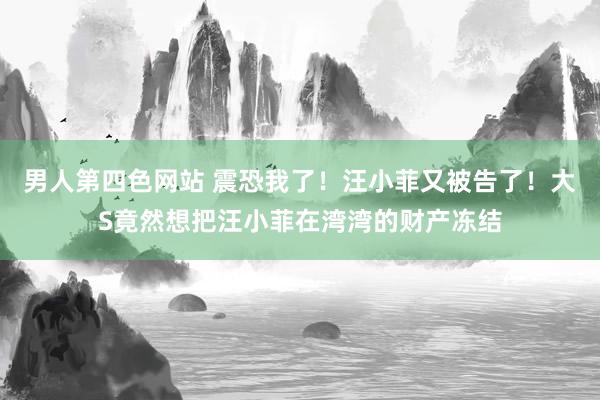 男人第四色网站 震恐我了！汪小菲又被告了！大S竟然想把汪小菲在湾湾的财产冻结