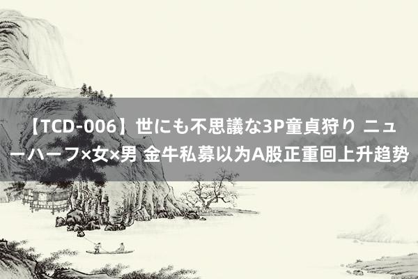 【TCD-006】世にも不思議な3P童貞狩り ニューハーフ×女×男 金牛私募以为A股正重回上升趋势