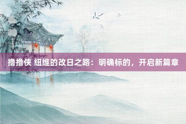 撸撸侠 纽维的改日之路：明确标的，开启新篇章