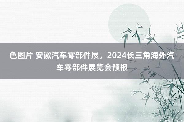 色图片 安徽汽车零部件展，2024长三角海外汽车零部件展览会预报