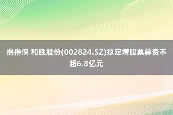 撸撸侠 和胜股份(002824.SZ)拟定增股票募资不超6.8亿元