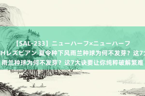 【SAL-233】ニューハーフ×ニューハーフ 竿有り同性愛まるごとNHレズビアン 夏令种下风雨兰种球为何不发芽？这7大诀要让你纯粹破解繁难