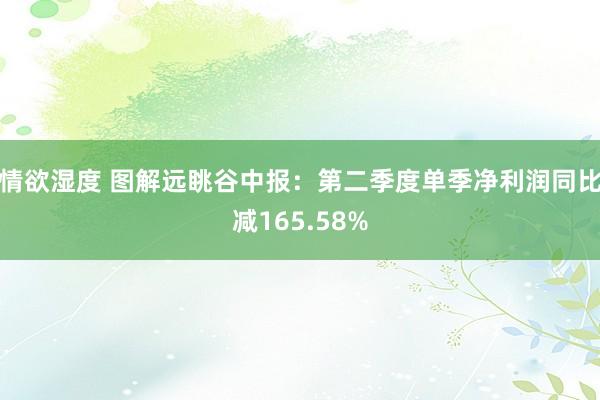 情欲湿度 图解远眺谷中报：第二季度单季净利润同比减165.58%