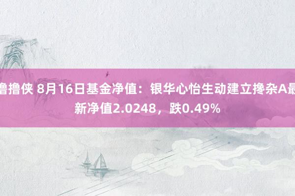 撸撸侠 8月16日基金净值：银华心怡生动建立搀杂A最新净值2.0248，跌0.49%