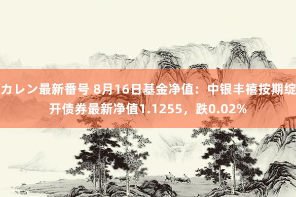 カレン最新番号 8月16日基金净值：中银丰禧按期绽开债券最新净值1.1255，跌0.02%