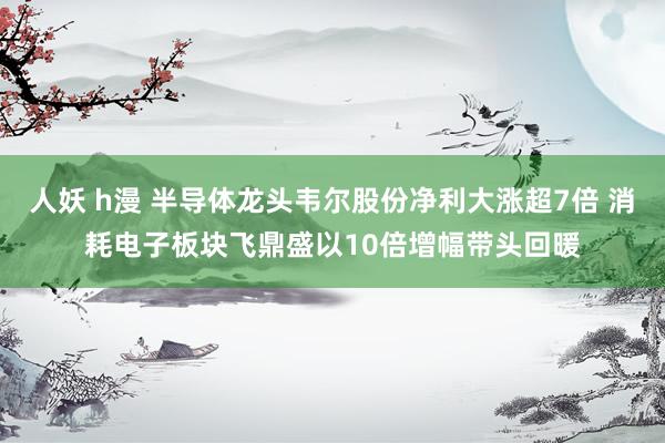 人妖 h漫 半导体龙头韦尔股份净利大涨超7倍 消耗电子板块飞鼎盛以10倍增幅带头回暖