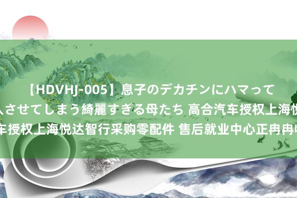 【HDVHJ-005】息子のデカチンにハマってしまい毎日のように挿入させてしまう綺麗すぎる母たち 高合汽车授权上海悦达智行采购零配件 售后就业中心正冉冉收复配件供应