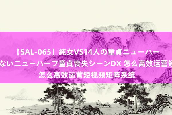 【SAL-065】純女VS14人の童貞ニューハーフ 二度と見れないニューハーフ童貞喪失シーンDX 怎么高效运营短视频矩阵系统