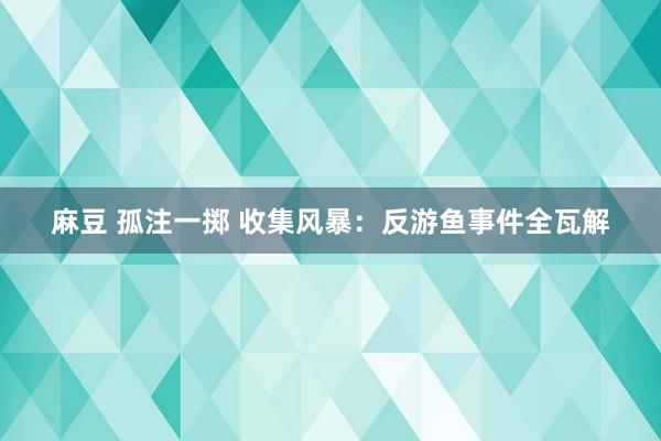 麻豆 孤注一掷 收集风暴：反游鱼事件全瓦解