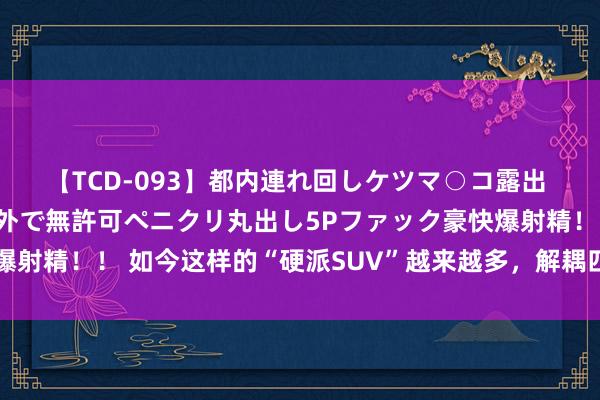 【TCD-093】都内連れ回しケツマ○コ露出 ド変態ニューハーフ野外で無許可ペニクリ丸出し5Pファック豪快爆射精！！ 如今这样的“硬派SUV”越来越多，解耦四驱真能越野吗？