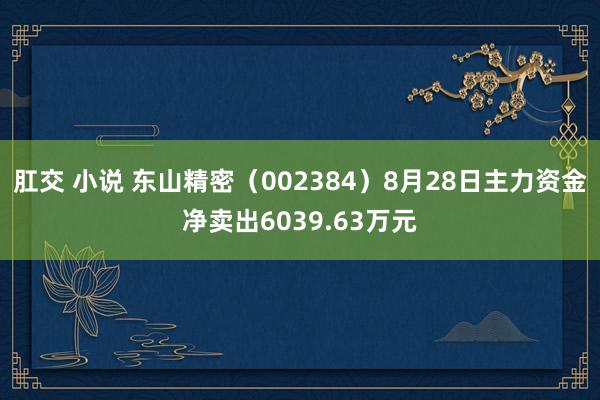 肛交 小说 东山精密（002384）8月28日主力资金净卖出6039.63万元