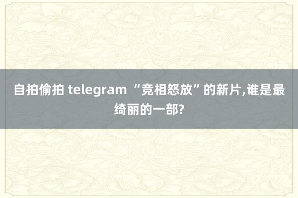 自拍偷拍 telegram “竞相怒放”的新片，谁是最绮丽的一部?