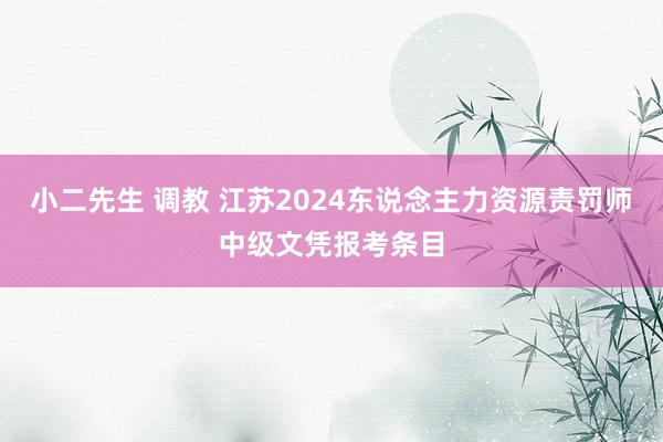 小二先生 调教 江苏2024东说念主力资源责罚师中级文凭报考条目