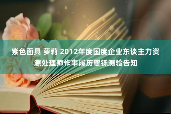 紫色面具 萝莉 2012年度国度企业东谈主力资源处理师作事履历矍铄测验告知