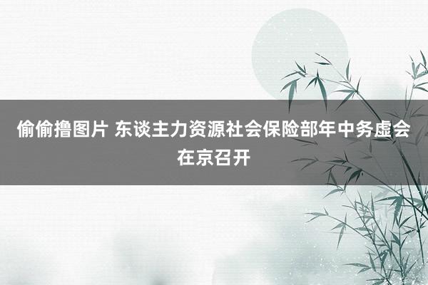 偷偷撸图片 东谈主力资源社会保险部年中务虚会在京召开